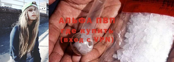 прущие грибы Аркадак