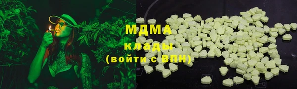 прущие грибы Аркадак