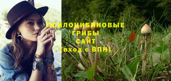прущие грибы Аркадак