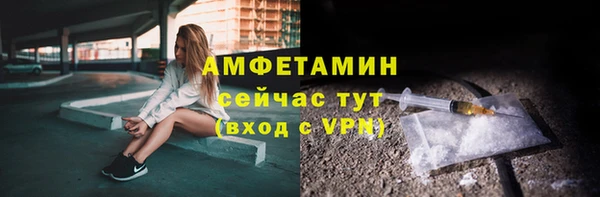 прущие грибы Аркадак