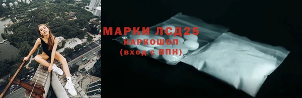 прущие грибы Аркадак