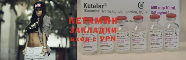 прущие грибы Аркадак