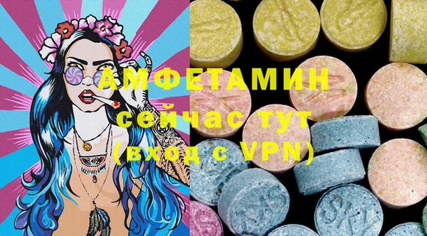 прущие грибы Аркадак