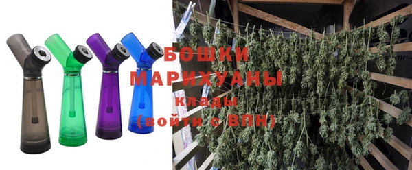 прущие грибы Аркадак