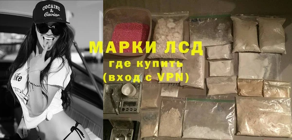 прущие грибы Аркадак